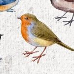 Jean-Luc The Sinful Bird