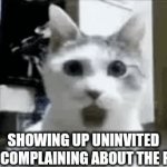 Say what?? | SHOWING UP UNINVITED AND COMPLAINING ABOUT THE FOOD | image tagged in gifs,funny,memes,fun,humor | made w/ Imgflip video-to-gif maker