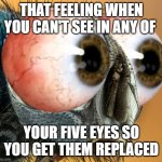 That feeling when you can't see in any of your five eyes so you get them replaced | THAT FEELING WHEN YOU CAN'T SEE IN ANY OF; YOUR FIVE EYES SO YOU GET THEM REPLACED | image tagged in fly with bulging human eyes | made w/ Imgflip meme maker