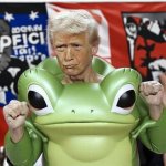 Trump Frog