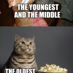 Cat watching other cats fight | THE YOUNGEST AND THE MIDDLE; THE OLDEST | image tagged in cat watching other cats fight | made w/ Imgflip meme maker