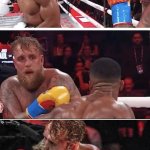 Jake Paul knockout