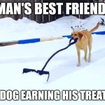 DOG SHOVELING SNOW | MAN'S BEST FRIEND! A DOG EARNING HIS TREATS | image tagged in dog shoveling snow,dog,snow,memes,funny dog,smart dog | made w/ Imgflip meme maker