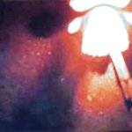 HERE’S MY BOOMSTICK!