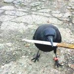 Crow with knife meme