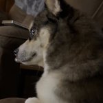 e.g. what’d you say?