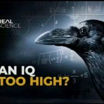 an iq too high? meme