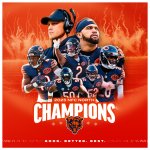 Bears division champs