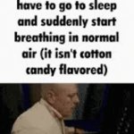Very clever and original title (I'm running out of ideas) | image tagged in gifs,memes,funny,funny memes,meme | made w/ Imgflip video-to-gif maker