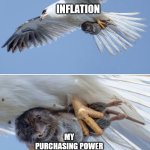 Inflation | INFLATION; MY PURCHASING POWER | image tagged in small animal caught by a predator,inflation,economics,money | made w/ Imgflip meme maker