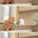 I'm Poopin' - No Text