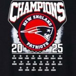 Pats AFC Champs