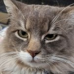 The look your haters get