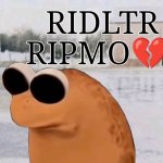 RIDLTRRIPMO meme