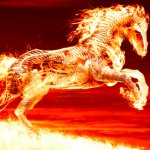 Flame horse rating