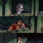 Who cries over pound scene in Lady and the Tramp