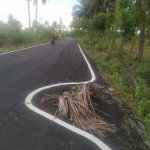 Road markings fail meme