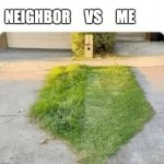 neighbor vs my lawn