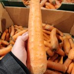 Big carrot