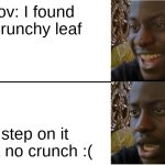 Disappointed agreed | Pov: I found a crunchy leaf; I step on it , but no crunch :( | image tagged in disappointed black guy | made w/ Imgflip meme maker