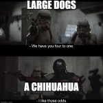 I like those odds | LARGE DOGS; A CHIHUAHUA | image tagged in i like those odds | made w/ Imgflip meme maker