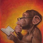 monkey with glasses reading