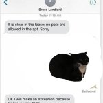 your pet look very polite | CUTE | image tagged in your pet look very polite | made w/ Imgflip meme maker