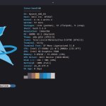 bandit's nyarch fetch