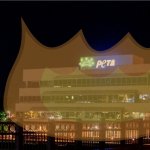 I may or may not have set PeTA headquarters on fire template