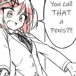 you call that a penis