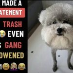 He made a statement so trash meme