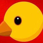 Pollo roberto contreras