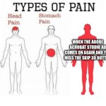 Types of Pain | WHEN THE ADOBE ACROBAT STUDIO AD COMES ON AGAIN AND YOU MISS THE SKIP 30 BUTTON | image tagged in types of pain,podcast,ads,sound,annoying | made w/ Imgflip meme maker