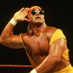 Hulk Hogan
