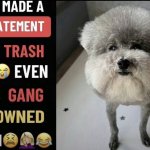 He made a statement so trash (updated)