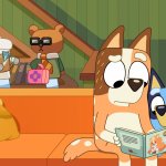 Unicorse Lawyer template