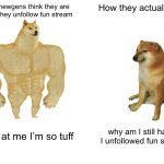 Buff Doge vs. Cheems | How newgens think they are when they unfollow fun stream; How they actually are; Look at me I’m so tuff; why am I still hated I unfollowed fun stream | image tagged in memes,buff doge vs cheems | made w/ Imgflip meme maker