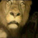 lion getting jumped by monkey at night