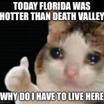 sad thumbs up cat | TODAY FLORIDA WAS HOTTER THAN DEATH VALLEY; WHY DO I HAVE TO LIVE HERE | image tagged in sad thumbs up cat | made w/ Imgflip meme maker