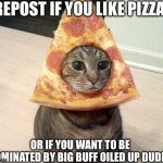 Pizza repost