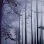 Slumpedbythe4-918-IK