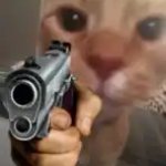 Cat holding gun meme