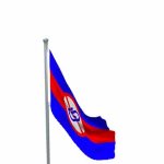 Anti-clippy flag meme