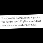 Can you speak English