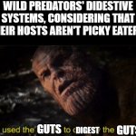 Even civilised humans eat organ flesh (eg. chicken livers or hearts), if prepared propperly. | WILD PREDATORS' DIDESTIVE SYSTEMS, CONSIDERING THAT THEIR HOSTS AREN'T PICKY EATERS:; GUTS; GUTS; DIGEST | image tagged in animals,carnivores,food,memes,nature | made w/ Imgflip meme maker