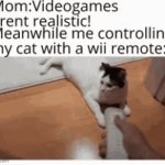 Cats are secretly robots | image tagged in gifs,memes,funny,funny memes,meme | made w/ Imgflip video-to-gif maker