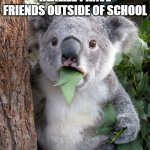 Wait How do you know him - he's not even from our school?! | PEOPLE WHEN THEY REALIZE I HAVE FRIENDS OUTSIDE OF SCHOOL | image tagged in memes,surprised koala,school,friends,funny,relatable | made w/ Imgflip meme maker