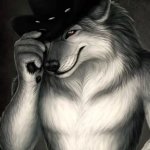 wolf with hat meme