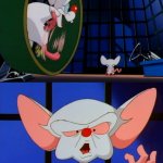 Pinky and the Brain