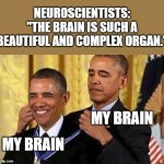 neuroscientists | NEUROSCIENTISTS: "THE BRAIN IS SUCH A BEAUTIFUL AND COMPLEX ORGAN."; MY BRAIN; MY BRAIN | image tagged in obama medal | made w/ Imgflip meme maker